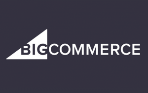 Bigcommerce website builder