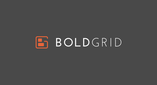 Bold grid website builder software